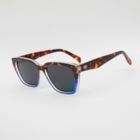 TARTARUGA lente Cinza