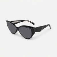 PRETO  haste TARTARUGA lente Cinza