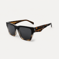 TARTARUGA PRETO haste TARTARUGA lente Cinza