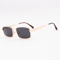 DOURADO lente Cinza